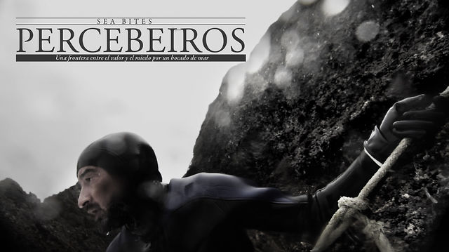 Percebeiros, documental